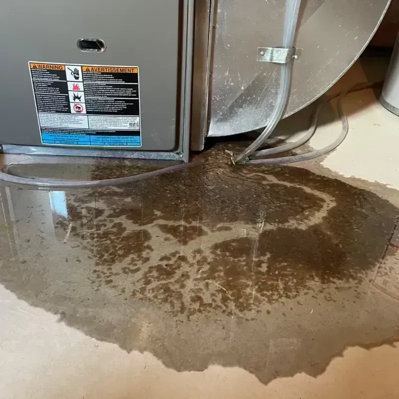 Appliance Leak Cleanup in Alma, NE